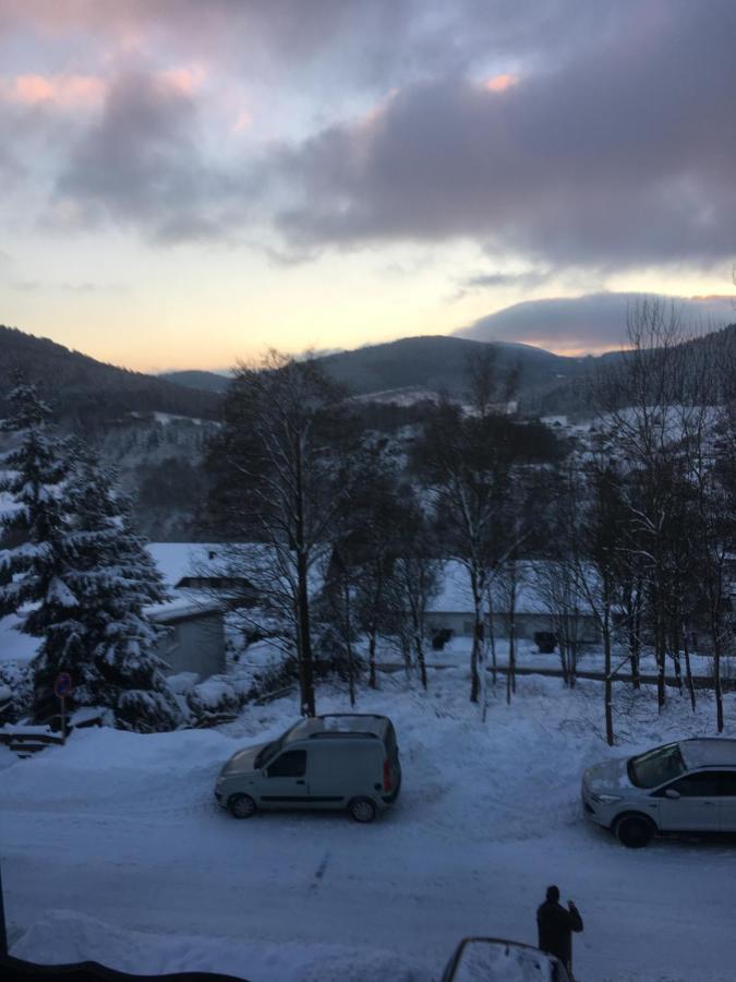 Appartement An Der Erlebniskappe Mit Fahrradkeller Winterberg Eksteriør billede