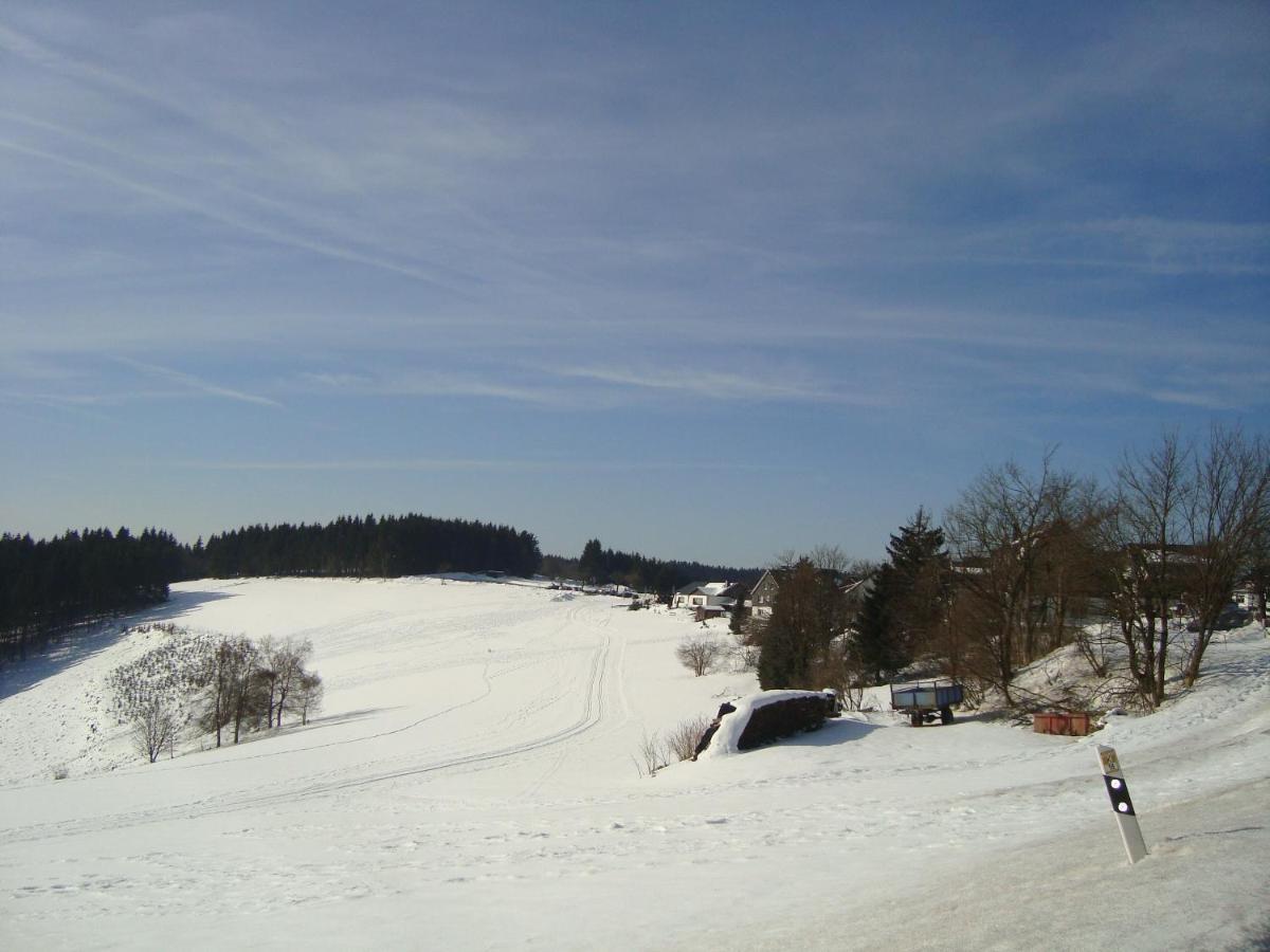 Appartement An Der Erlebniskappe Mit Fahrradkeller Winterberg Eksteriør billede