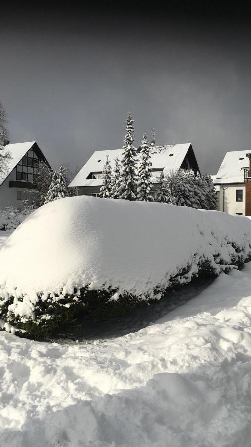 Appartement An Der Erlebniskappe Mit Fahrradkeller Winterberg Eksteriør billede