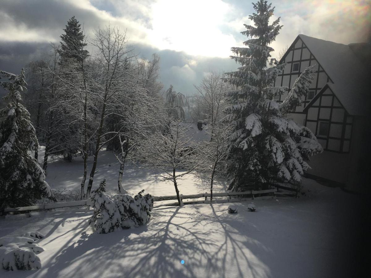 Appartement An Der Erlebniskappe Mit Fahrradkeller Winterberg Eksteriør billede