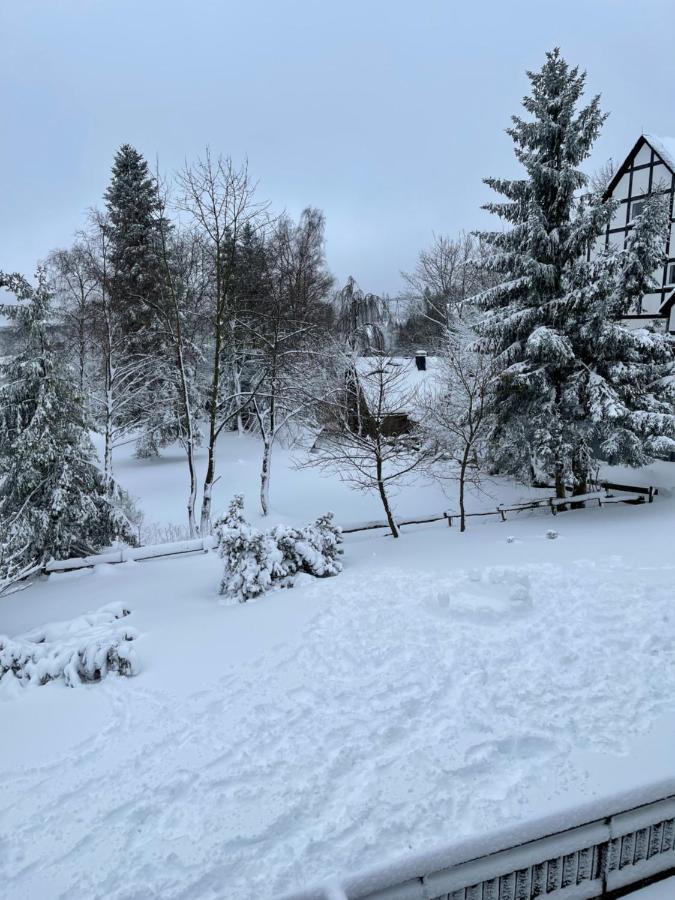 Appartement An Der Erlebniskappe Mit Fahrradkeller Winterberg Eksteriør billede