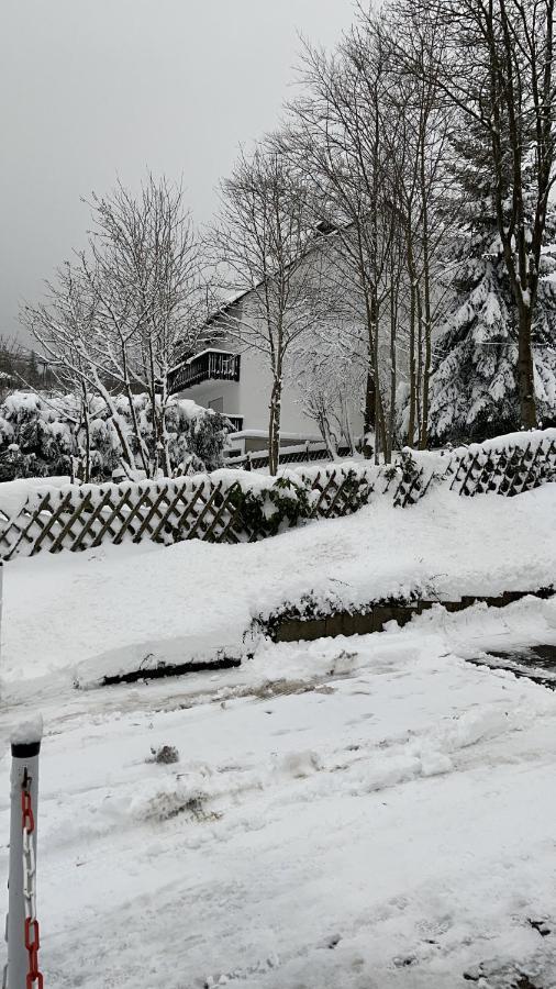 Appartement An Der Erlebniskappe Mit Fahrradkeller Winterberg Eksteriør billede